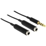 Câble Audio Delock 65575 [1x Jack mâle 3.5 mm - 2X Jack Femelle 3.5 mm] 25.00 cm Noir