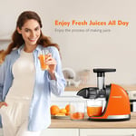 AMZCHEF Juicer Machines - Cold Press Slow Juicer - Masticating Juicer for Whole