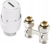 Ferro Ztv20 Thermostat Set. Straight To Bottom Heating With Head Gt20 // G.Z. Package-Pr-1/2-Fer-Dol-Gt20