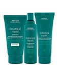 Aveda Kit Botanical Repair Shampoo + Conditioner Masque Light