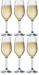 BORMIOLI ROCCO DIVINO - Set de 6 coupes à champagne en "Cristal Star", set de 6 verres élégants, Lavable au lave-vaisselle, Made in Italy, Capacité 240 ml, Dimensions 21,3 x 6,6 cm - Transparent