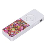 (D1) Portable MP3 Player 64 GB HiFi Lossless Pocket Music Player