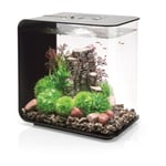 Oase - Aquarium décoratif 30l mcr avec cadre noir Flow30MCR black