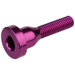 Burgtec Top Cap Bolt Purple Rain - Cykeltillbehör