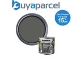 Ronseal 38262 Garden Paint Charcoal Grey 250ml Exterior Outdoor Wood Shed Metal