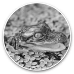 2 x Vinyl Stickers 7.5cm (bw) - Baby Alligator Swamp Wild Fun  #38268