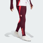 adidas AS Roma Tiro 24 Competition Training Pants Men