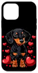 Coque pour iPhone 12 mini Coeurs de teckel pour la Saint-Valentin