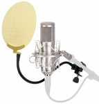 Microphone Studio Grande Condensateur Enregistrer Set Étui Filtre Anti Pop Or