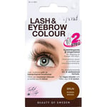 Depend Lash & Eyebrow Brun Färg för ögonbryn och fransar 1 st