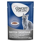 Concept for Life -säästöpakkaus 48 x 85 g - British Shorthair