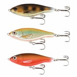 Savage Gear 3D Roach Jerkster 14,5 cm lajitelma 3 kpl