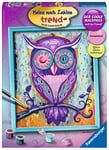 Ravensburger - 28426 9 - Numéro d'Art - Hibou Rêveur - Version allemande