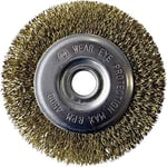 gloria Brosse à Joints en Fil d'acier - Accessoires pour Les appareils MultiBrush et WeedBrush - Brosse métallique/en Laiton pour Le Nettoyage des Joints - 11 cm de diamètre - 1,2 cm de Largeur