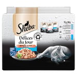 SHEBA Délices du Jour Sachets fraîcheur en sauce aux poissons pour chat 15x50g