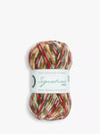 West Yorkshire Spinners Signature 4 Ply Yarn, 100g