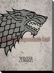 Pyramid International Game of Thrones Stark Canvas Print, Cotton, Multi-Colour, 1.8 x 30 x 40 cm