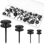 40 Piece Double Headed Picture Hangers Nails 4 Sizes Picture Hanging Nails Hooks for Hanging Picture Photo Wall Tacks Home Office Wall Pins for Hanging Tapestry Paintings Decorations, 10/20/ 30/ 50lb