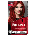 Schwarzkopf - Brillance - Coloration Cheveux Permanente Intense - Eclat Diamant - Cheveux Brillants - Couvre 100% des Cheveux Blancs - Soin Nourrissant Inclus - Rouge Cachemire 842