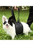 Pet Tribe PT72852 Harnais de Support pour Chiens, Walking Aid Full Body, Taille L