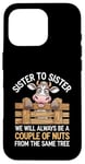 Coque pour iPhone 16 Pro Sister to Sister We will Aways Be A Couple of Nuts