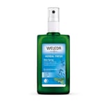 Weleda Herbal Fresh Deo Spray 100ml