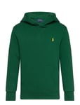 Ralph Lauren Kids Seasonal Fleece-Ls Po Hood-Tp-Knt Grön