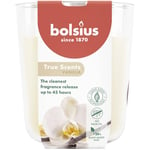 Bolsius True Scents - Vanille - Ivoire - Lot de 6 Bougies Parfumées - 9,7 x 8,5 cm - Durée de combustion: 45 heures - Avec extraits naturels - Cire végétale naturelle - Sans huile de palme