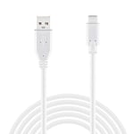 Wicked Chili Câble de Charge USB-C vers USB-A 1 pièce de 300 cm Compatible avec PS5 Dualsense Controller, Nintendo Switch Pro, Xbox Series X USB C Manette, Play and Charge Kit (3m, Blanc)