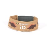 LittleLife Safety Wristband, Kids iD Bracelet With iD Cards For Emergency Contact Or Medical Information - Dinosaur