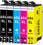 604XL Cartouches d'encre de rechange pour Epson Multipack 604 compatibles avec Epson Expression Home XP-2200 XP-2205 XP-3200 XP-3205 XP-4200 XP-4205,Workforce WF-2910 WF-2930 WF-2950(Q1494)