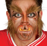 Werewolf EYEBROWS & SIDEBURNS Wolfman Teen Wolf Men's Halloween Fancy Dress