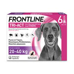 FRONTLINE Tri-Act Chien - Anti Puces, Tiques, Moustiques, Phlébotomes & Mouches - Pour Gros Chien De 20 à 40 kg - Fabriqué En France - 6 Pipettes Application Spot On