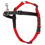 Halti Harness