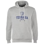 Terraria Since 2011 Hoodie - Grey - XXL - Grey