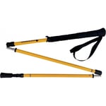 Bâtons Zion 3 sections pliables 120 cm pour trekking Ferrino