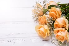 Fresh peach color roses flowers on white wooden background in ray of light