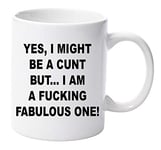 Yes I Might be a C*** but. I am Fabulous one Rude 11oz Ceramic Mug Gift Xmas Birthday Christmas Mothers Day Fathers Day