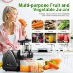 AOBOSI Cold Press Juicer Machines with Reverse Function, Slow Masticating Juicer