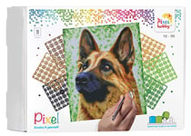 Pixel P090049 Emballage Cadeau mosaïque Chien pour Enfants, Image pixelisée env. 30,5 x 38,1 cm, système d'assemblage Simple avec tesselles en bioplastique, sans Repassage ni Collage