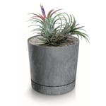 Botle Pot De Fleur Rond Gris Plastique Beton Effect Cache Pot 32,6 Cm Decoratif Bac A Plantes Avec Soucoupe Fleurs