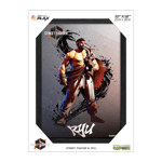 Pixel Frames PLAX Street Fighter 6: Ryu