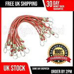 TEN SMALL BUNGEE CORDS 10" LONG MINI CAR BIKE MOTORBIKE CYCLING CAMPING STRAPS