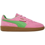 Baskets Puma  - Palermo Spezial - rose et verte