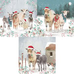 Box of 15 Christmas Cards Farmyard - The Almanac Gallery - 3 Designs - New