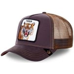 Casquette Goorin Bros  Casquette Homme TIGER