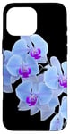 Coque pour iPhone 16 Pro Max Magnifique orchidée bleue Phalaenopsis en forme de mania