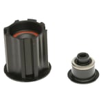 Vapaaratas DT Swiss Freehub Campagnolo (AC) Ratchet