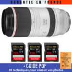 Canon RF 100-500mm f/4.5-7.1L IS USM + 3 SanDisk 128GB UHS-II 300 MB/s + Guide PDF '20 TECHNIQUES POUR RÉUSSIR VOS PHOTOS