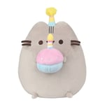 Birthday Party Pusheen Plush